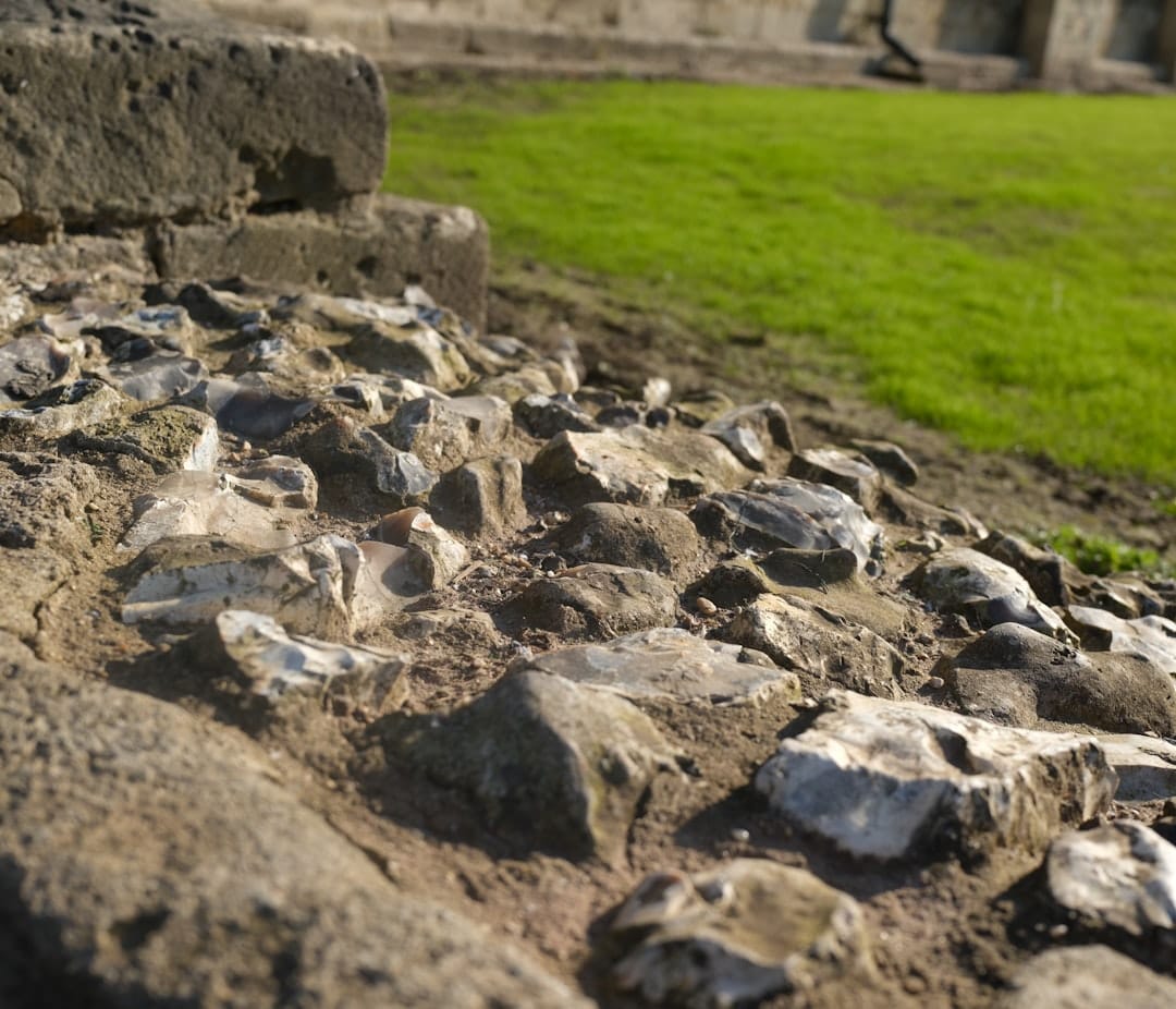 Close up of rough stones and green grass